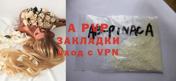 мдпв Бородино