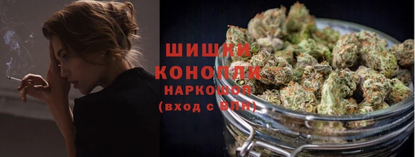 молекула духа Бронницы