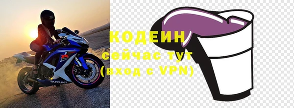 мдпв Бородино