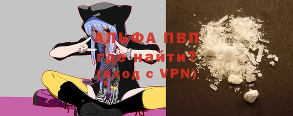 мдпв Бородино