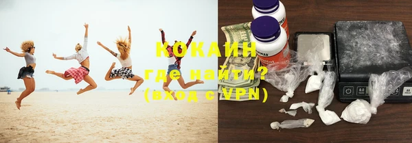 мдпв Бородино