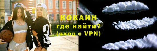 мдпв Бородино