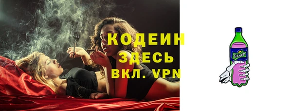 мдпв Бородино