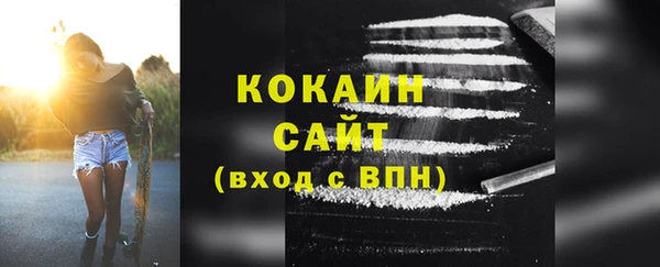 молекула духа Бронницы