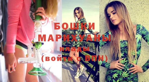молекула духа Бронницы
