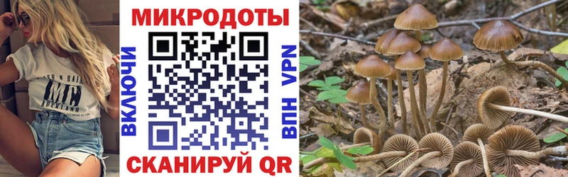 Галлюциногенные грибы мицелий  купить наркотик  Видное 